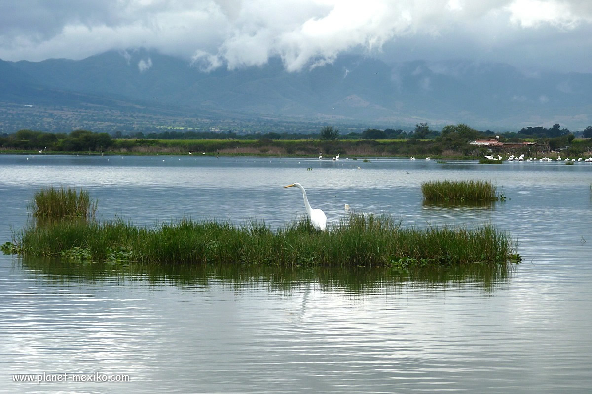 La Vega See bei Teuchitlán