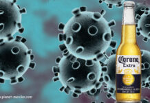 Corona-Virus und Corona-Bier Assoziation