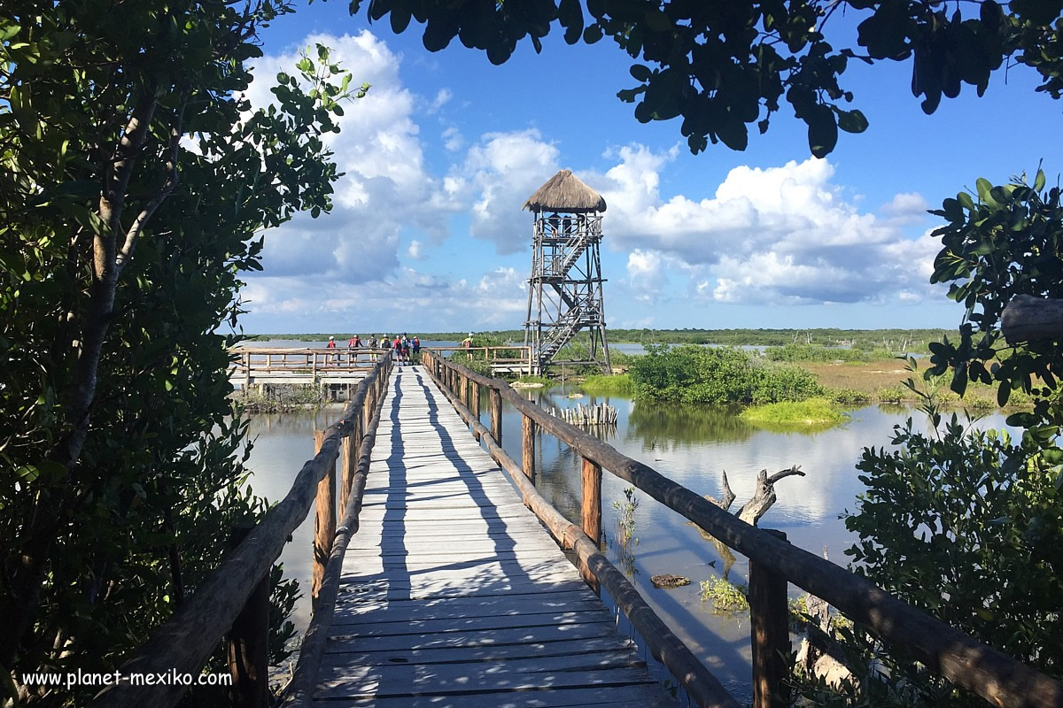 Isla Cozumel die Insel der Taucher in der Karibik - Planet Mexiko