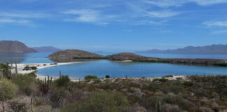 Roadtrip von Kalifornien in den USA nach Baja California in Mexiko